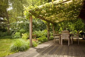 dichtgegroeide veranda met hardhouten vloer