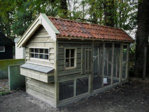 kippenhok kapschuurmodel met inpandig hok en grote ren